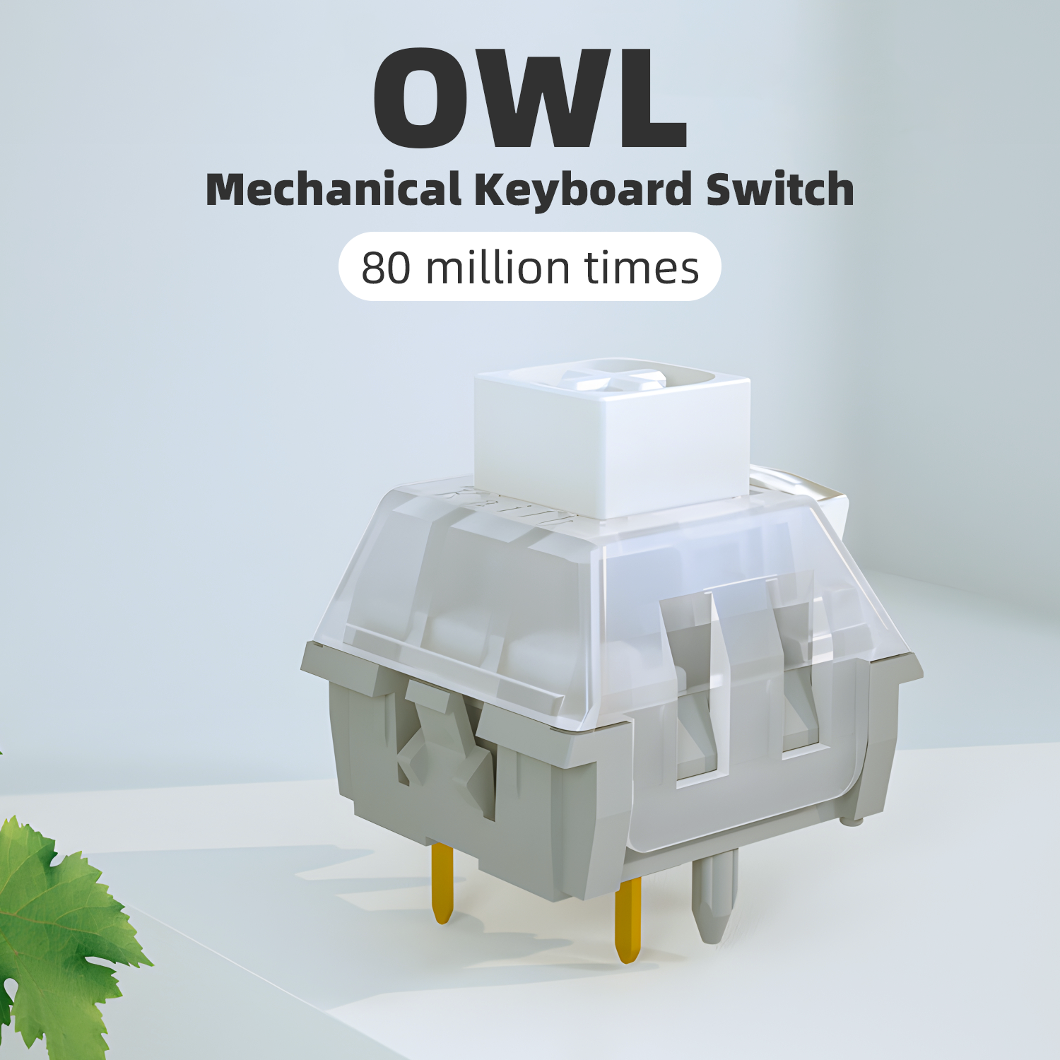 Kailh Box Owl White Switch Mechanical Keyboard Switch Waterproof and Dustproof