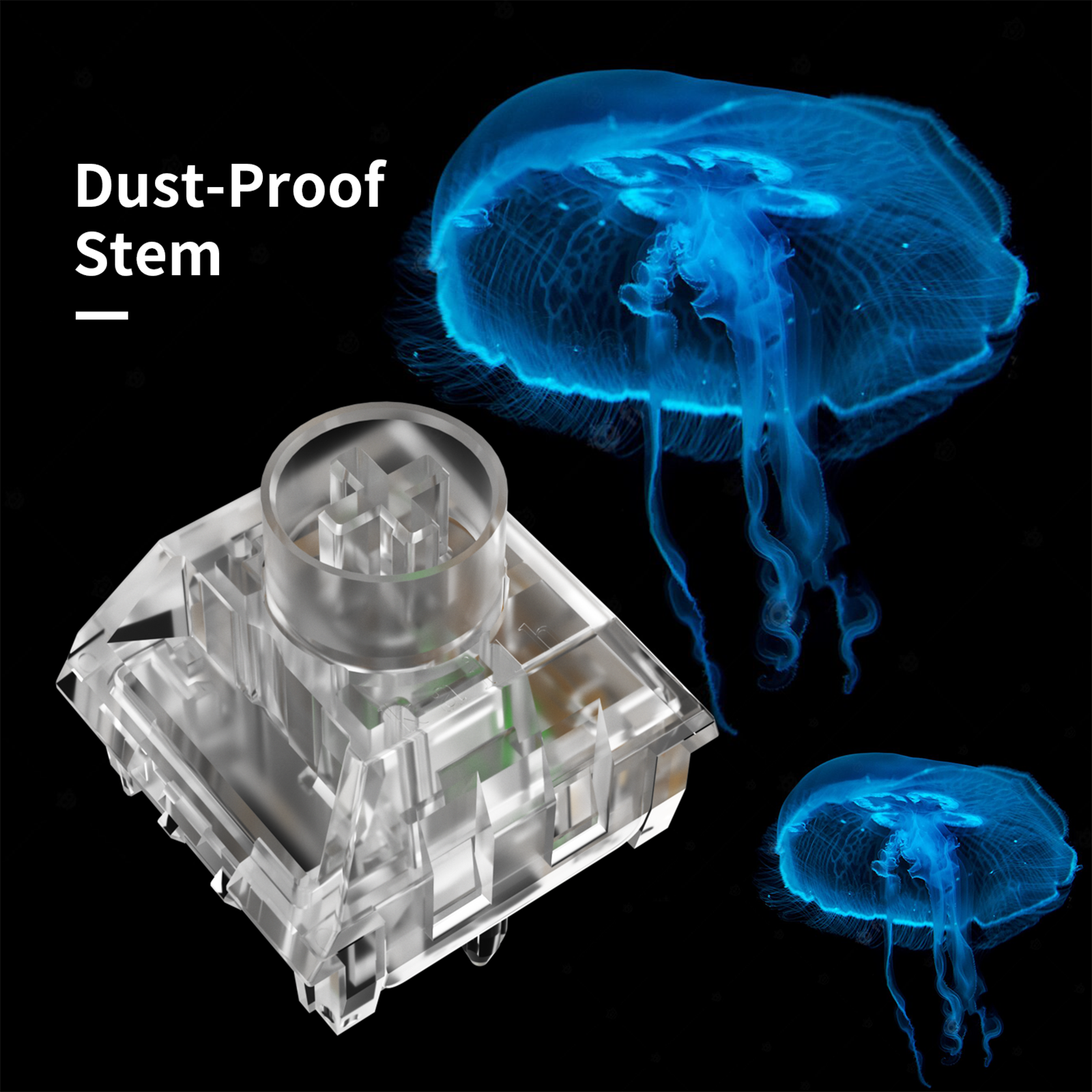 Kailh Box Jellyfish Switch Mechanical Keyboard Switch Waterproof And Dustproof Clicky Linear